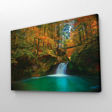 Load image into Gallery viewer, Forest Photography Print
